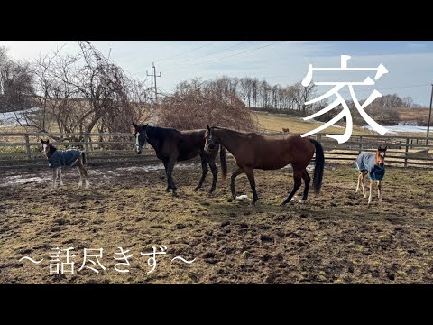 シンギュラチャーム2026」のYahoo!リアルタイム検索 - X（旧Twitter