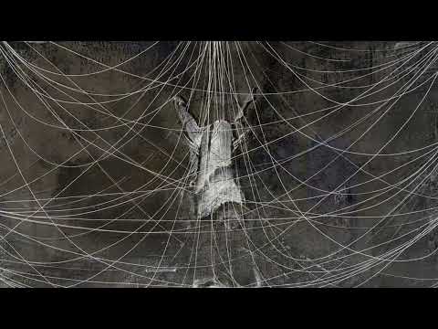 Mordançage process of gelatin silver photogram by Debora Francis