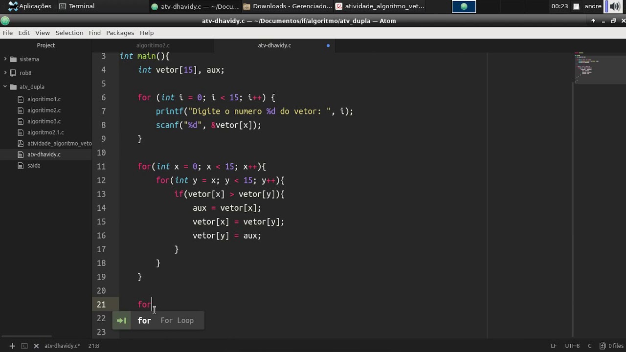 Ordenação de vetor em C