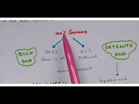 POINT MUTATION BY PHANINDRA GUPTHA