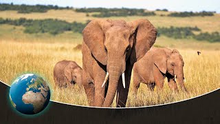 Download lagu They risk their lives in Kenya - One of the world's most dangerous ways to school mp3