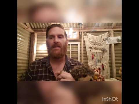 Being in a 21 day Coma- Dreams and nightmares with Schizoaffective Disorder