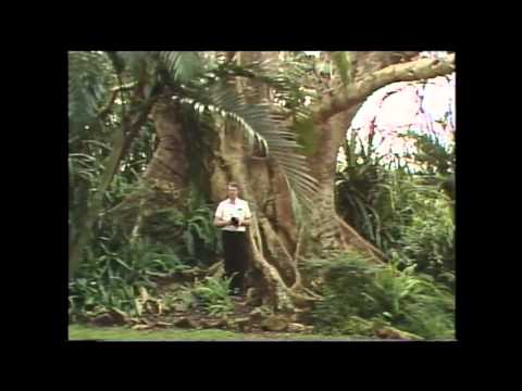 Anunciamos Jesus 21/06/1987 - Prate 2/2