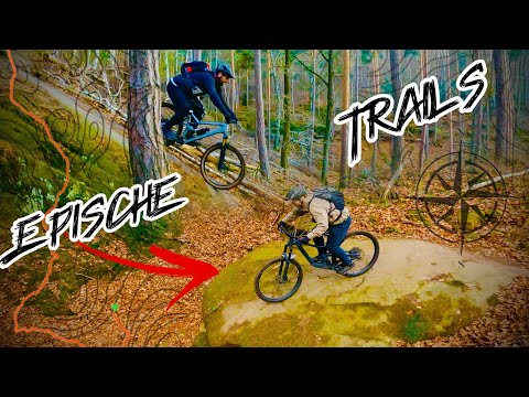 Epische MTB Trails im Pfälzerwald – Adrenalin pur auf dem Mountainbike