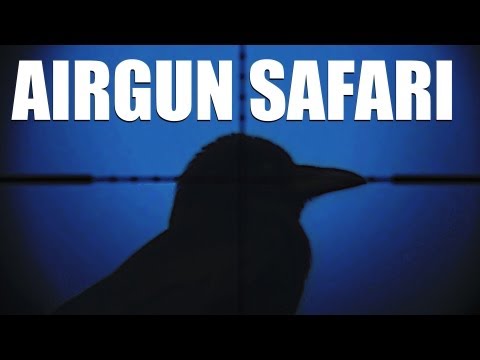 Fieldsports Britain : Airgun safari round a British garden + hunting red hartebeest (episode 134) Fieldsports Britain : Airgun safari round a British garden + hunting red hartebeest (episode 134)