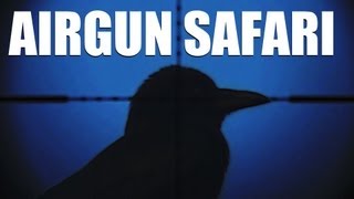 Fieldsports Britain : Airgun safari round a British garden + hunting red hartebeest (episode 134)