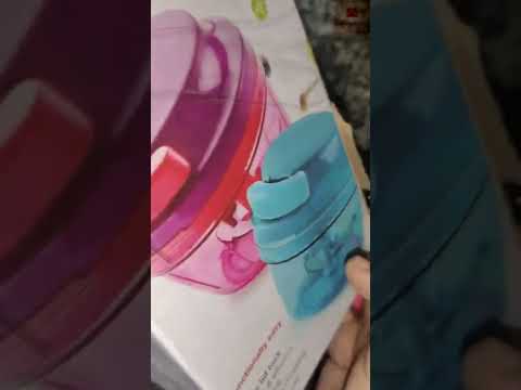 8104 Ganesh Little Master Master Chopper, Multicolour (300ml)