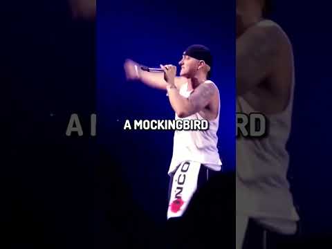 Mockingbird - Live Performance By Eminem #mockingbird #eminemlive #liveperformence