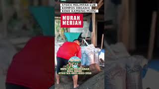Download lagu jual pupuk organik kohe kambing lokasi lampung selatan #petanipadi #kompos #kohe #kambing mp3