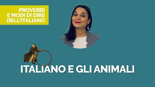 Italiano e gli animali