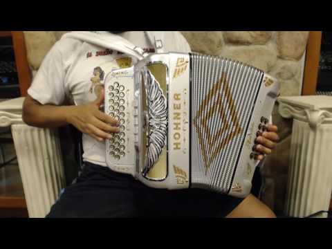 HOANRASC - NEW Silver Sparkle Hohner Anacleto Aguila III S Diatonic Button Accordion Binci Fa $5999