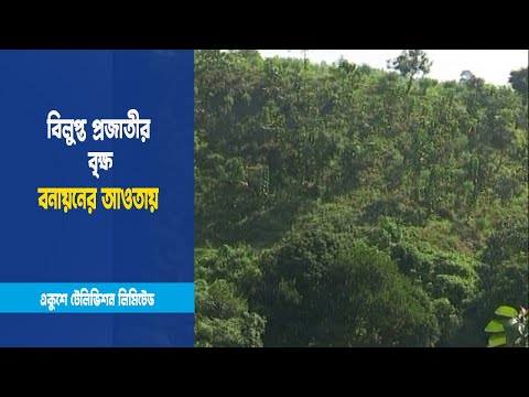 পাহাড়ী এলাকায় বনায়ন