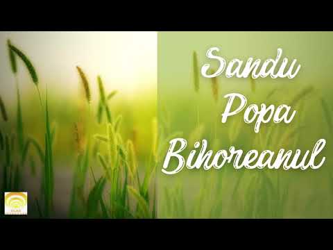Sandu Popa Bihoreanul - Io-s fecior din Balnaca