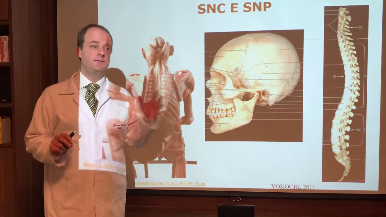 Introdução à Neuroanatomia