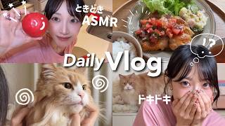 【VLOG🏠】食べるの大好きな私と猫の日常｜話題のおもちゃ作ってみたら…！？｜新作コスメ購入品開封📦