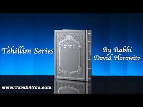 Tehillim/Psalm #23b - Hashem/God Is Always With Us! by Rabbi Dovid Horowitz