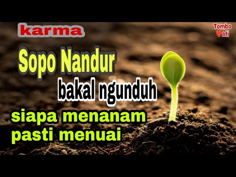 🔴 ILMU JAWA || SOPO NANDUR BAKAL NGUNDUH - ISTIGHFAR MAULANA