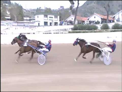 Trotto 19/03/2017 - 1ª corsa