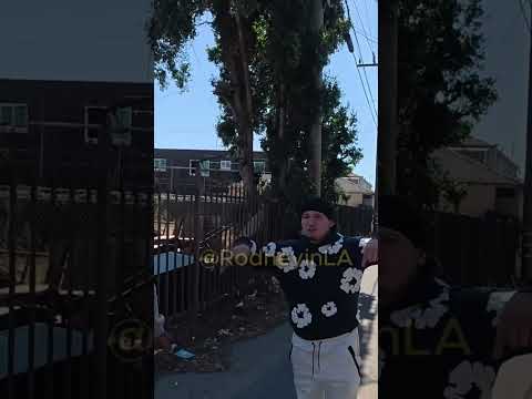 Welcome to “WS 99 Mafia Crips” (HOOD VLOG OUT NOW‼️✅)