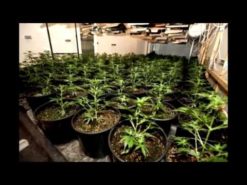 VetteBuit - Hennepteam ft. Mula B & Louis