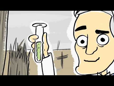 The Accidental Discovery of Penicillin