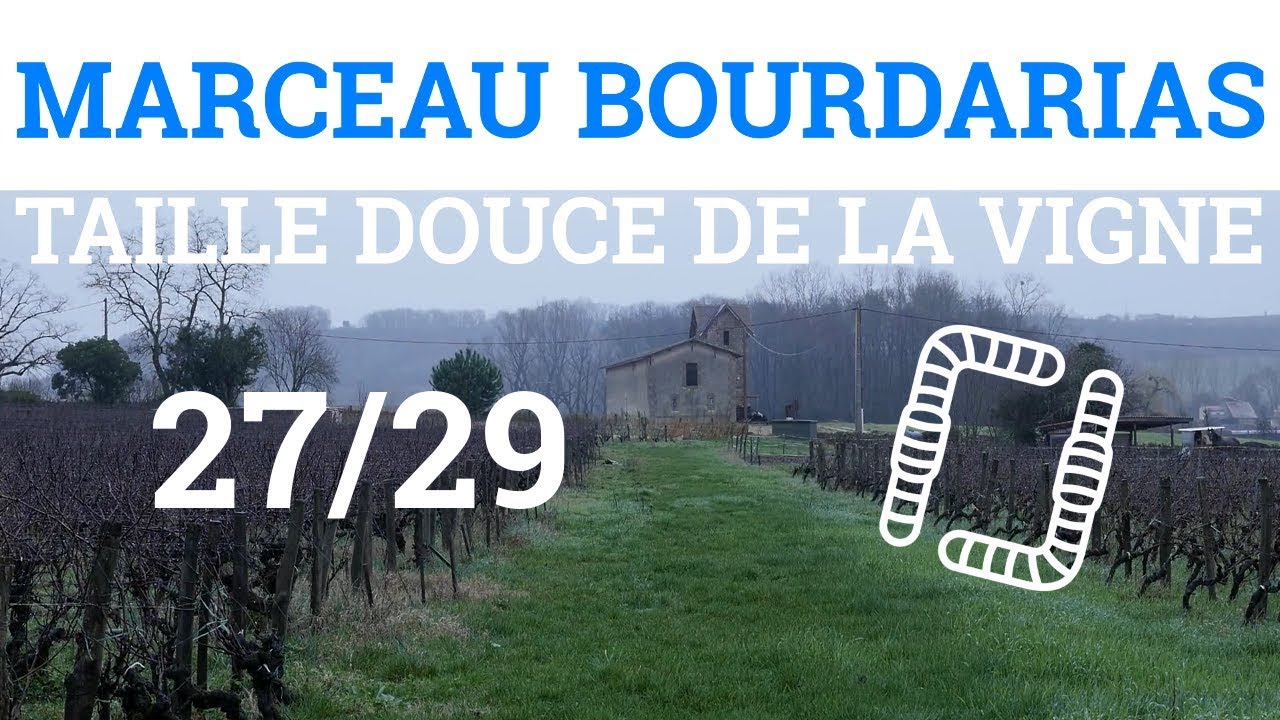 27/29 - M. BOURDARIAS - Taille Douce de la Vigne - Encrage d'un Cep