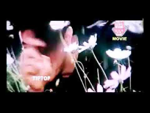 Mainu kehndi hai Saiyan main Teri han Pakistani song,,,,by Asif Ali Khan