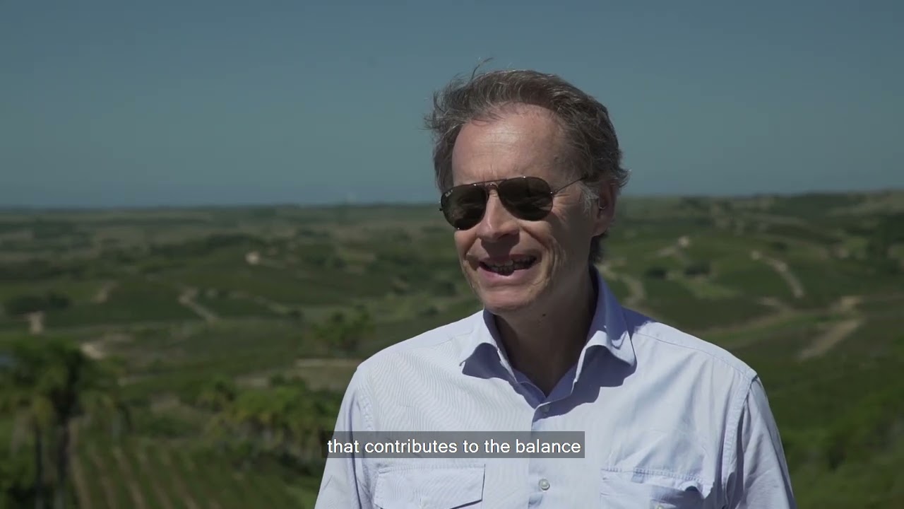 El terruño de Bodega Garzón
