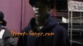 Hoover Criminal Gang LA