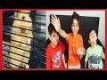 VLOG On S Amuse Et Vous Présente Notre Hamster Rigolo Kai StudioSurpriseToys