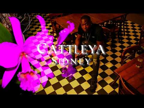 Sidney - Cattleya (Official Audio)