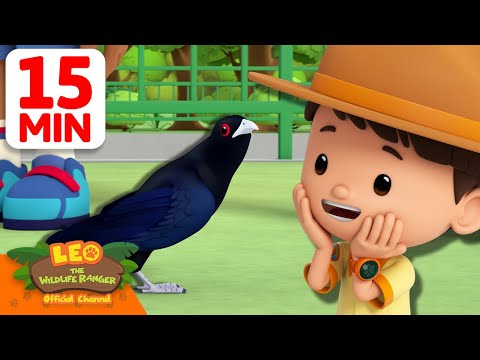 Witness21 Editor  2025 05 23