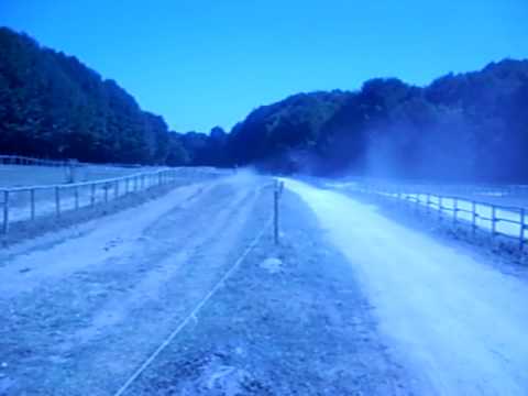 cavalcata  al terminio, avellino.