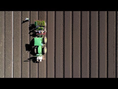 Agriculture in our Region // Toowoomba Region