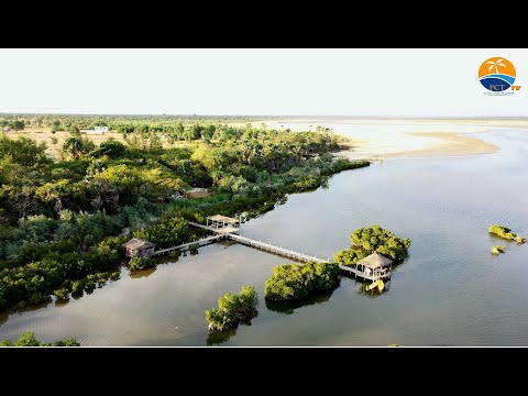 Découverte du Saloum