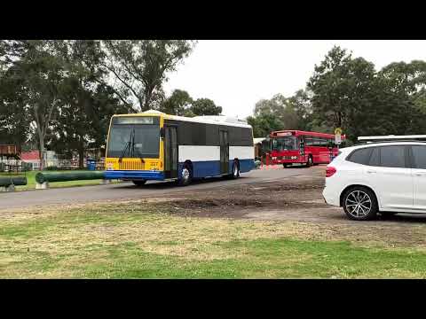 Buses From the HCVA Bus Rally Leaving the Museum of Fire