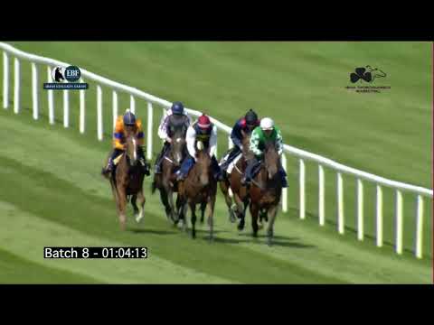 Irish EBF Barrier Trials 29 May 2023 - Batch 08