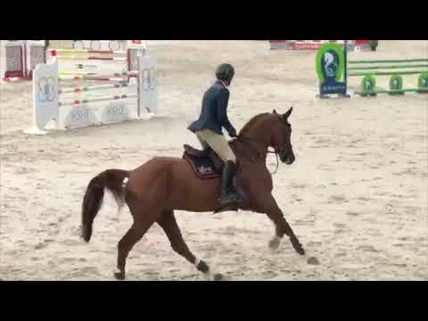 FALKO DE HUS GFE et François-Xavier Boudant - 5 ans Deauville juillet 2020