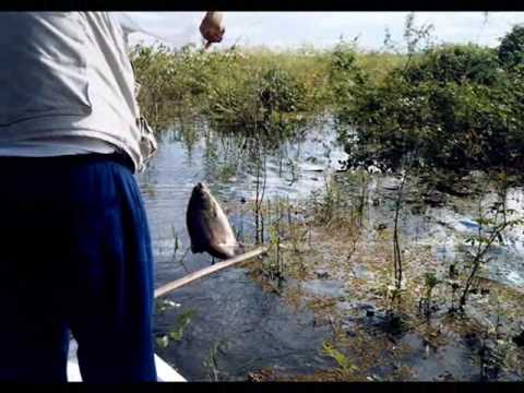 Pescaria Pantanal