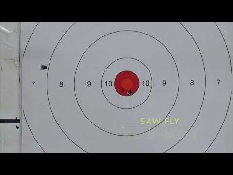 223 Remington 100-600 Yards