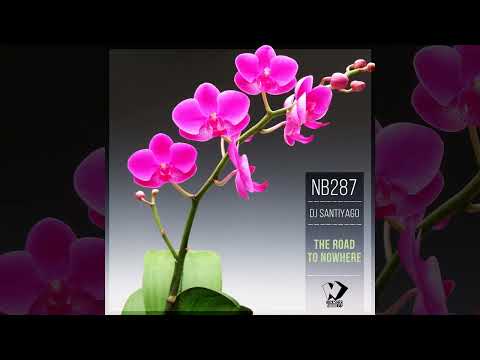 Dj Santiyago - Reaching the Bottom (Original Mix)