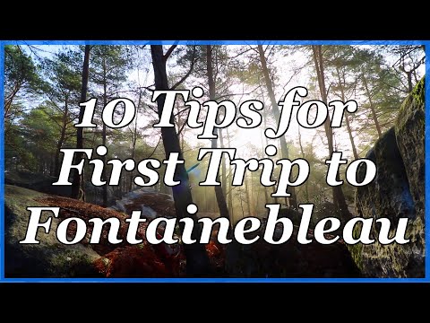Fontainebleau Bouldering - 10 Tips for Your First Trip to Font