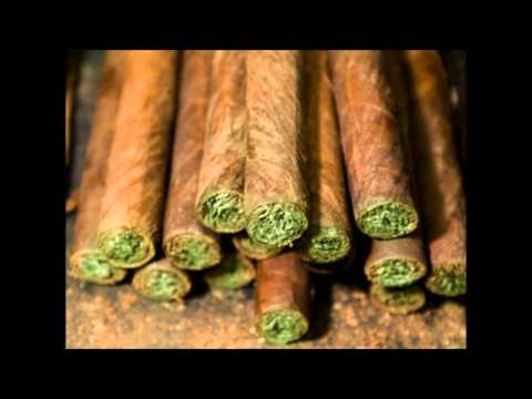 smoking weed all day-BG FT.ABMLUNEY ft.YOUNG ANT