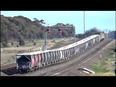 SSR 44204 44206 GM27 602 GM22 on 7CK3  grain in manor