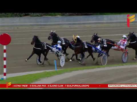 III corsa del 7 gennaio 2023 - 3 Anni - Metri 2000