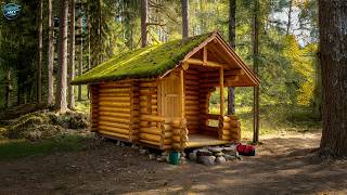 Building a Stunning Cabin by Hand — A True Forest Legend!