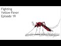 E19 - Fighting Yellow Fever