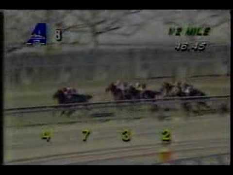 1995 Cicada Stakes