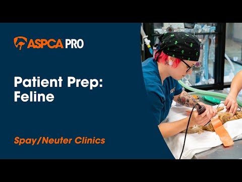 Spay/Neuter Patient Care: Patient Prep - Feline