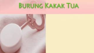 Download lagu burung kakak tua lagu anak mp3 Download lagu burung kakak tua lagu anak mp3